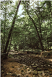 Adell Durbin Park 6