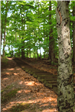 Adell Durbin Park 7