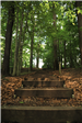 Adell Durbin Park 9
