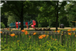 Adell Durbin Park 11