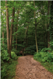 Crestdale Park 9