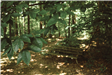 Heather Hills Park 5