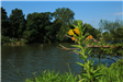Meadowbrook Lake Park 13