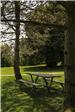 Meadowbrook Lake Park 15