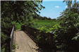 Meadowbrook Lake Park 4