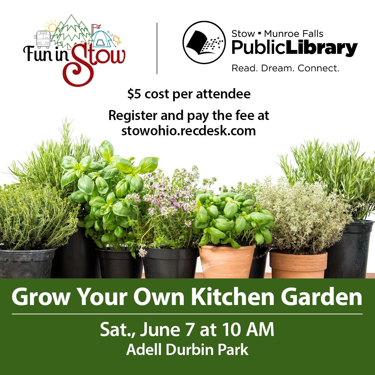 Connect with Nature Grow Your Own Kitchen Garden