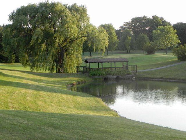 Small Lake with Trees