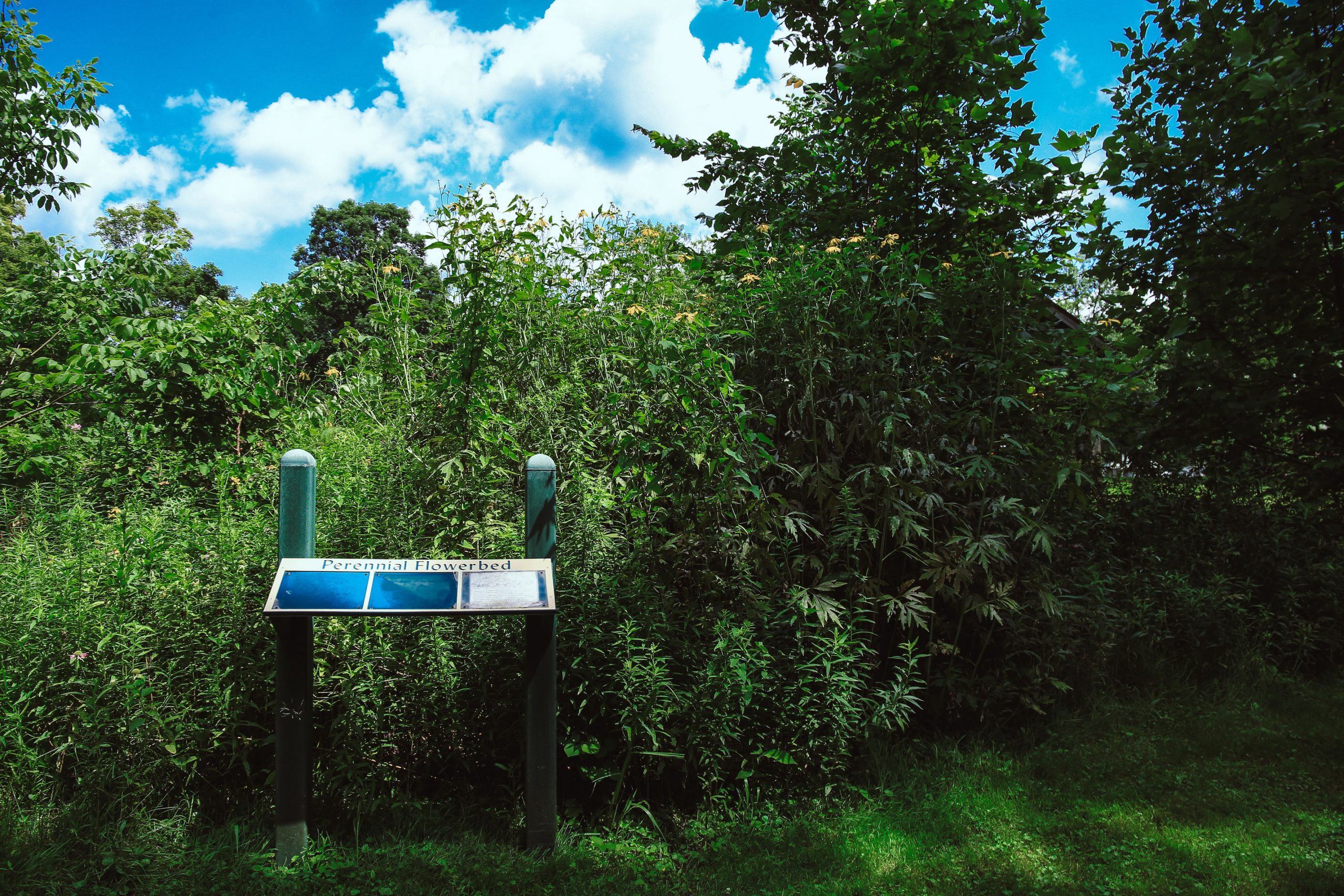 Adell Durbin Park 18