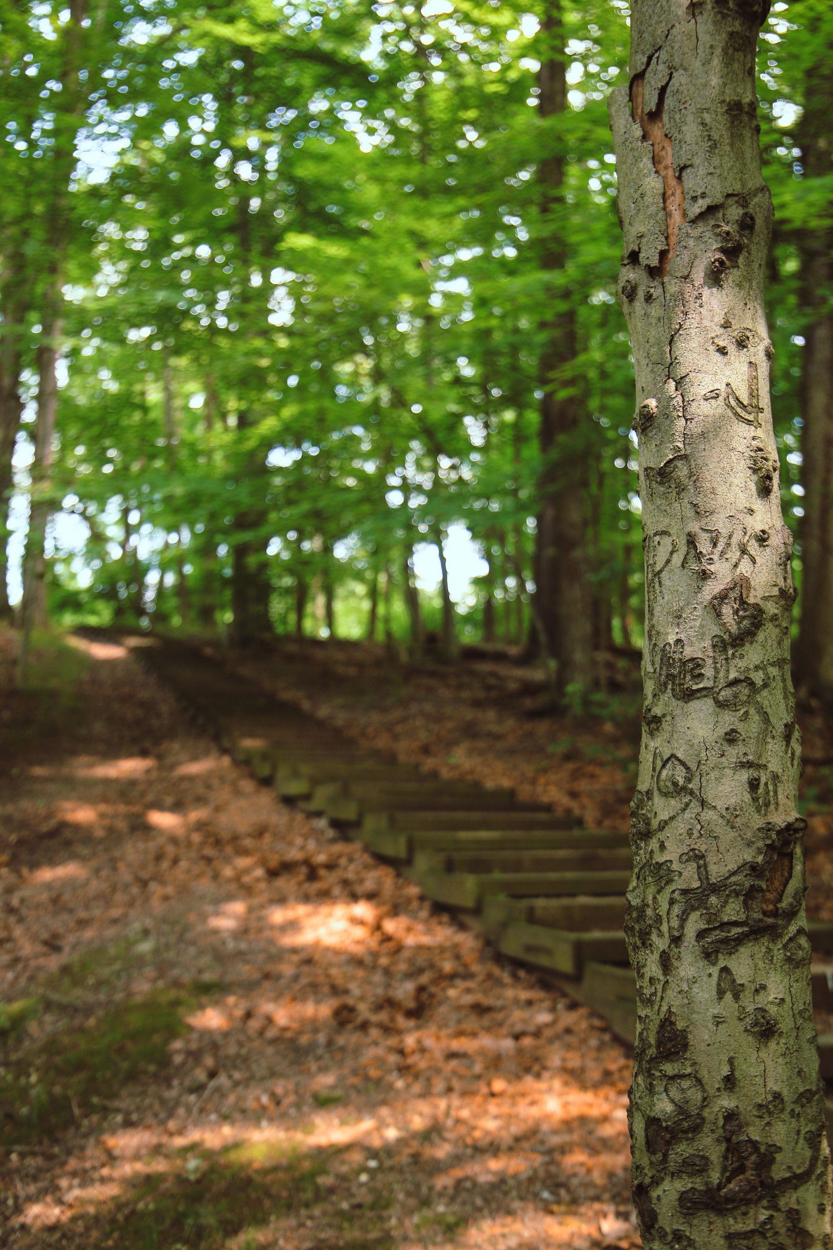 Adell Durbin Park 7