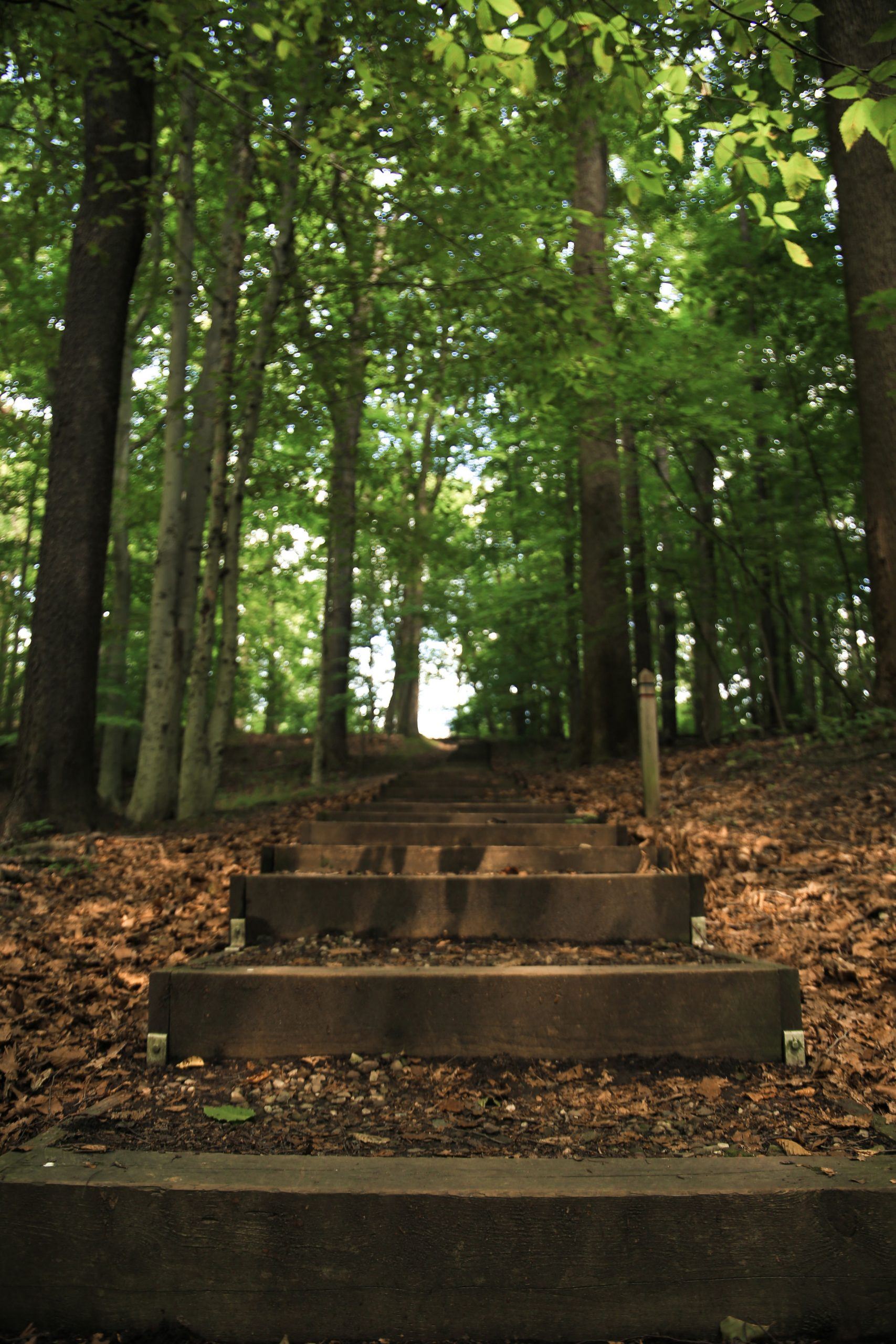 Adell Durbin Park 9