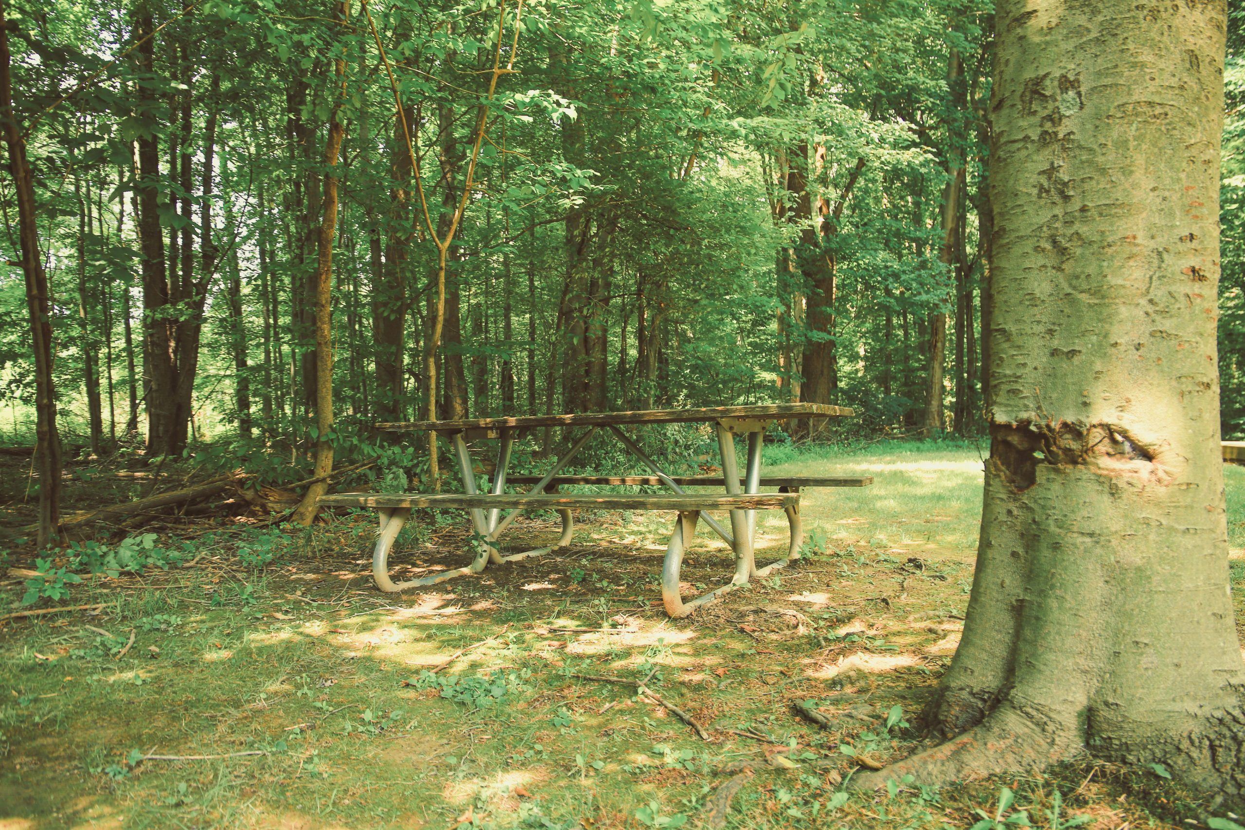 Heather Hills Park 8