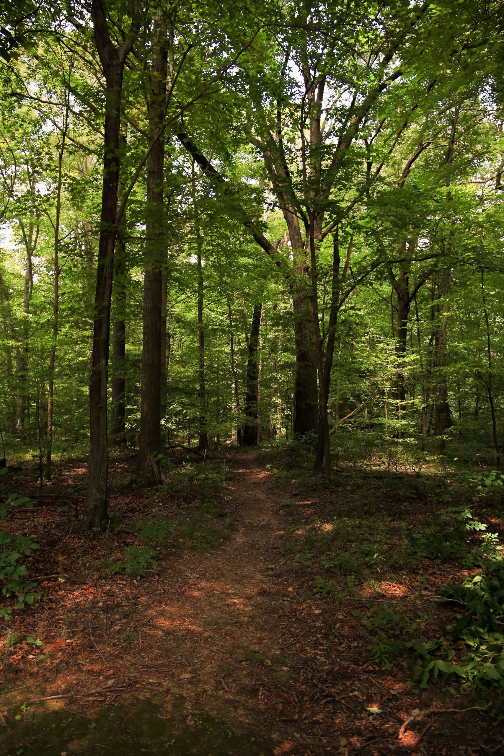 Heather Hills Park 10