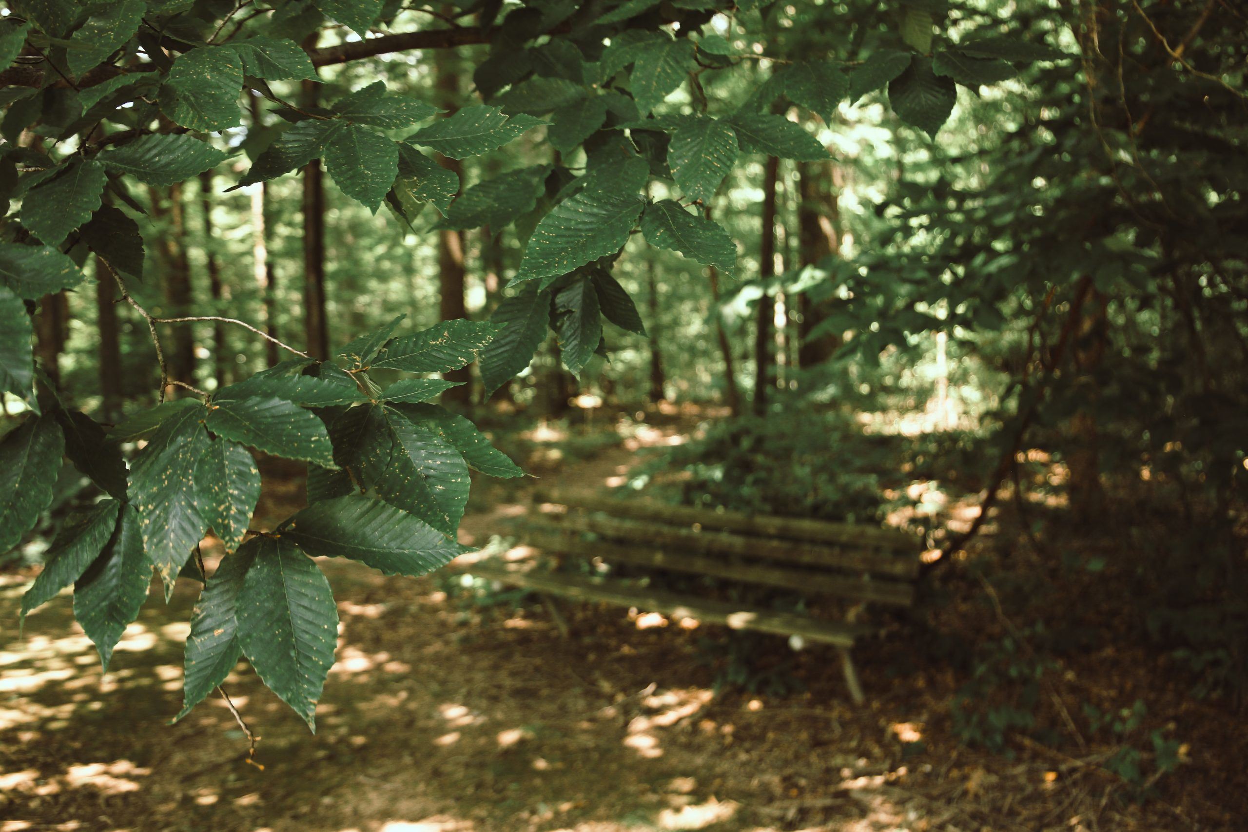 Heather Hills Park 5