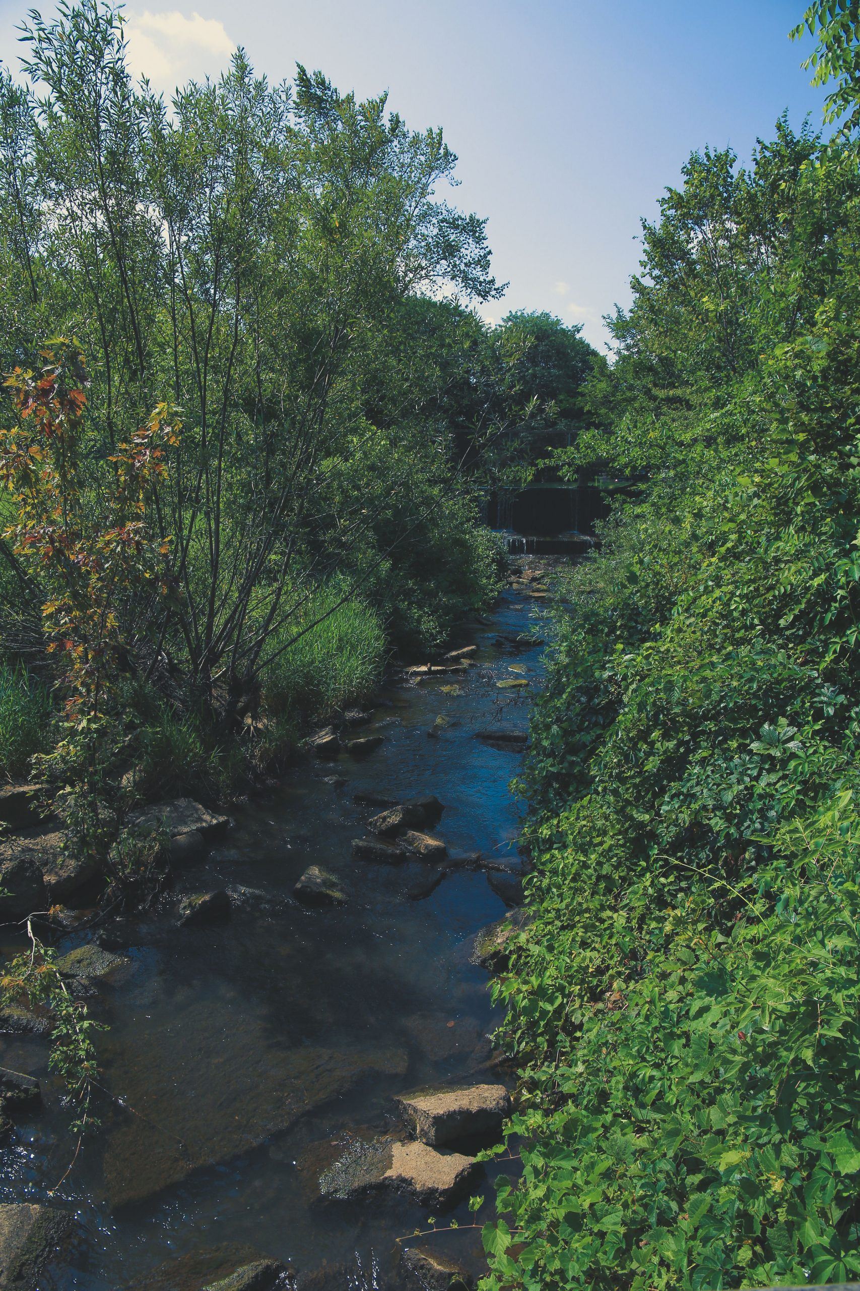 Meadowbrook Lake Park 6