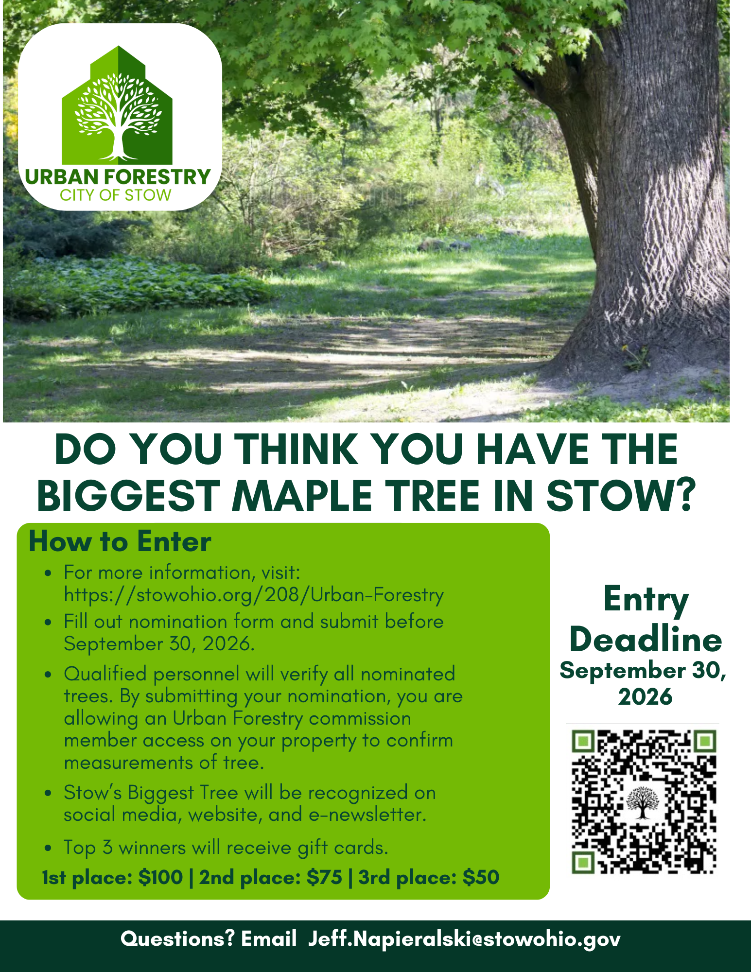 Big Tree contest 2026