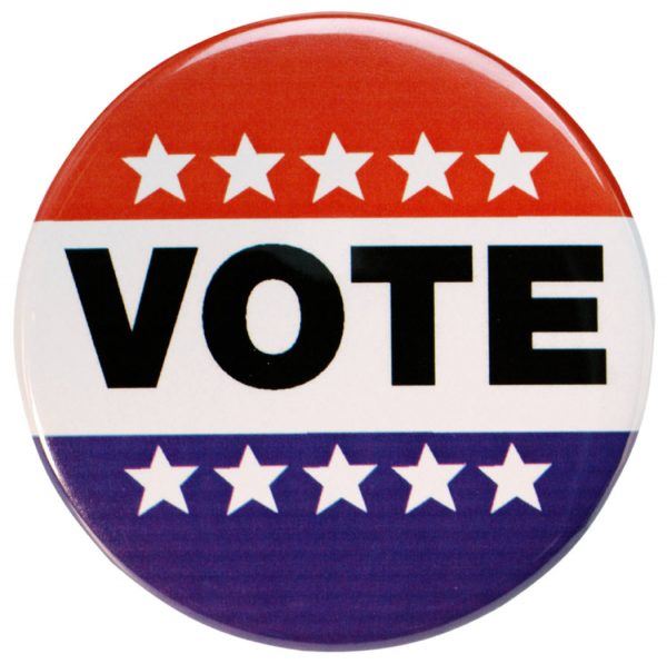 Vote Pin