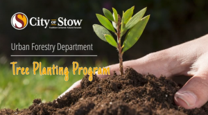 Tree Planting Program