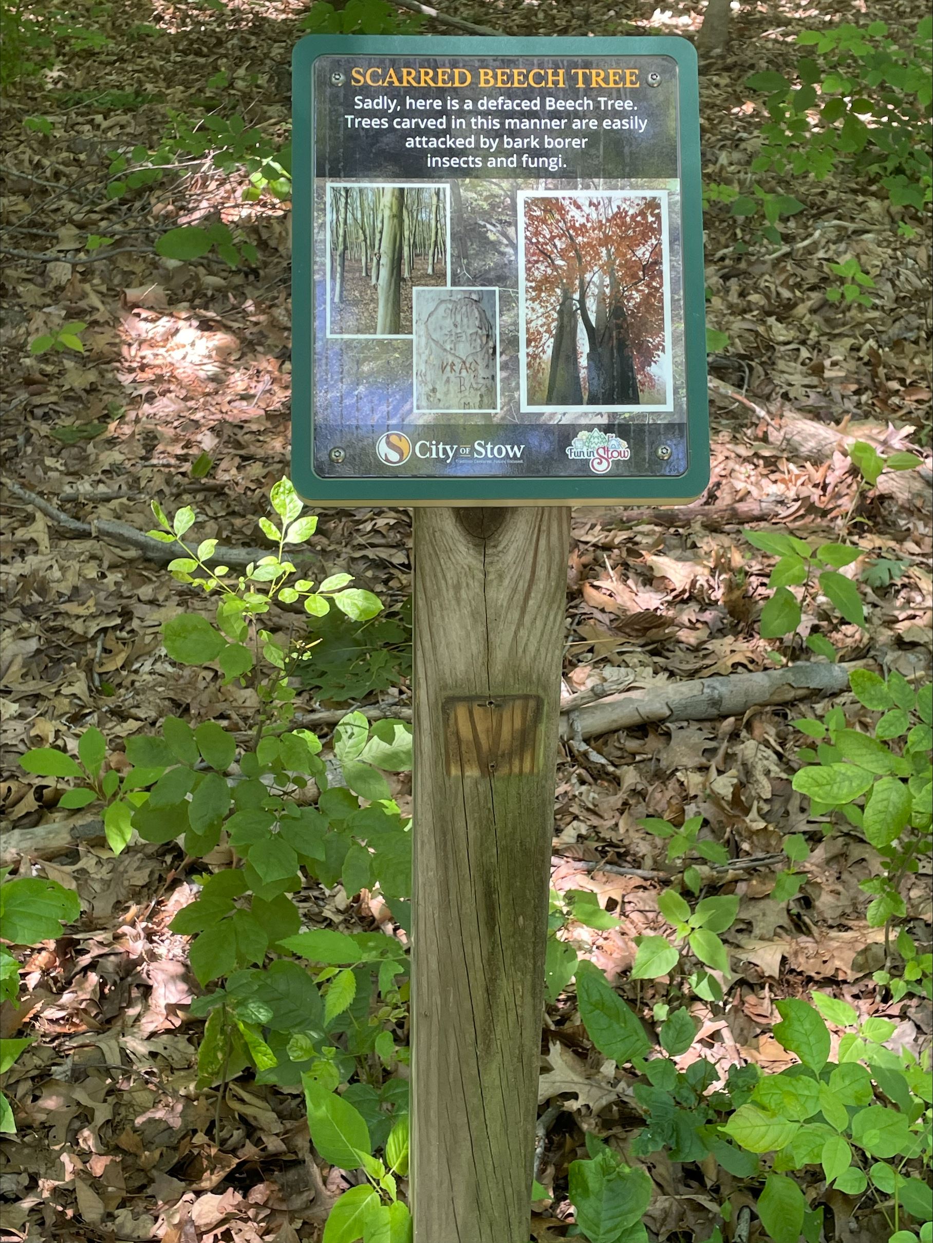 Plant description sign
